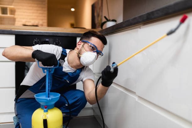 Best Emergency Pest Control  in Rancho Viejo, TX