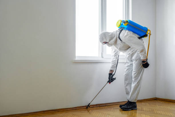Best Commercial Pest Control Services  in Rancho Viejo, TX