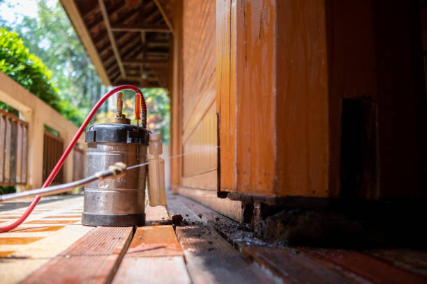 Best Exterminator Services  in Rancho Viejo, TX