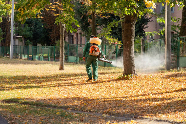 Best Local Pest Control Services  in Rancho Viejo, TX